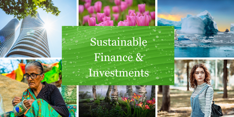 ceu-sustainable-finance-and-investments-schopper